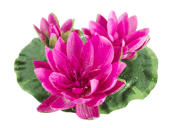 artificial floating plants