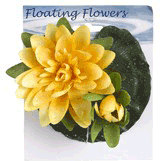 koi pond water lilies